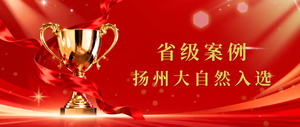 公司新闻